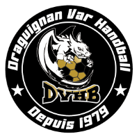 logo_dvhb_head